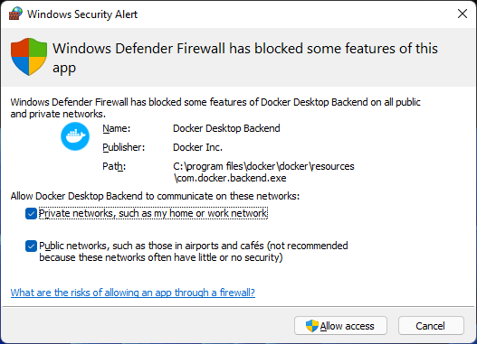 Windows 11 Firewall dialog